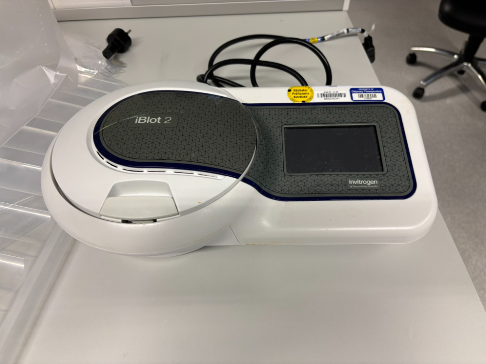 Image of Invitrogen Iblot 2 Electrophoresis